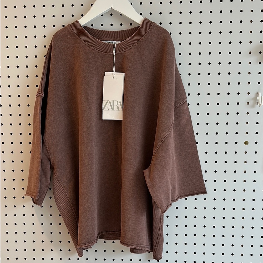 Zara Women's Brown Sweater